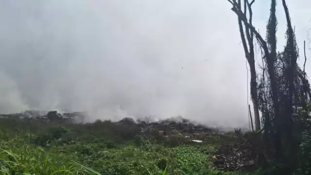 Debido a los problemas de salud, afectado ha pedido intervención de las autoridades