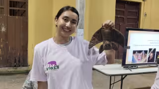 Feria Nocturna en Ucú revela la importancia de los insectos y murciélagos en Yucatán