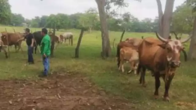 Así se desarrolló el cateo en Campeche