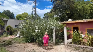 En Hopelchén, abuelita acusa a la CFE de exigirle 80 mil pesos para quitar poste dentro de su predio