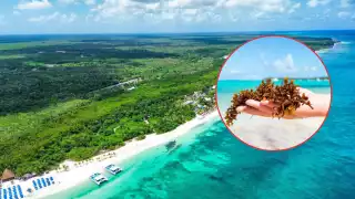 Playas de Quintana Roo sin sargazo: Estas son las 10 libres de macroalga hoy  miércoles 25 de junio