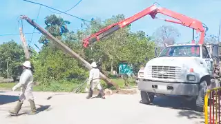 Denuncian deficiencias en servicios de energía eléctrica e Internet en Palizada