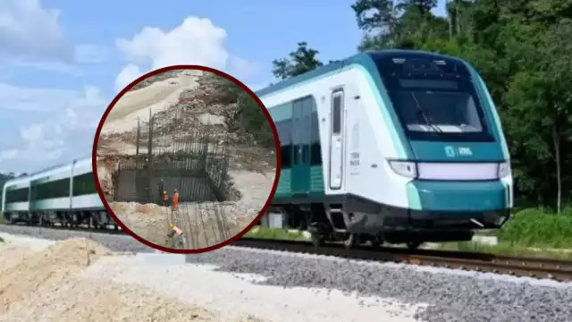 Expropian terrenos de Quintana Roo, Campeche y Tabasco para el Tren Maya