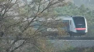 Expropian más de 528 mil metros cuadrados para construcciones del Tren Maya en Campeche y Yucatán