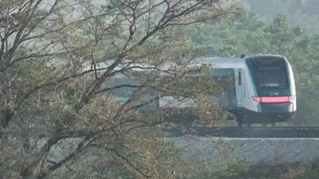 ¿En qué sedes del Tren Maya aplicará esta medida?