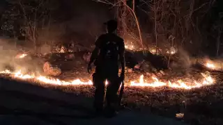 Un incendio se sale de control y las llamas consumen un área verde de Cancún