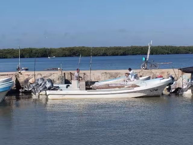 Puerto de Chiquilá sufre escasez de pesca de langosta y pulpo