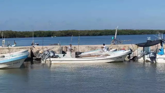 Puerto de Chiquilá sufre escasez de pesca de langosta y pulpo