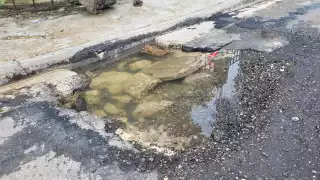 Capital de Campeche se hunde entre baches y Biby Rabelo    no regresa, denuncian vecinos