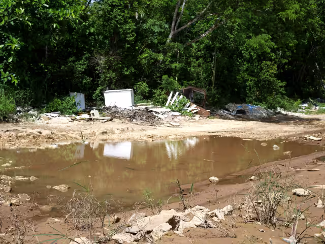 Cozumel y Lázaro Cárdenas en alerta roja por dengue; Quintana Roo suma 214 casos