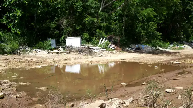 Quintana Roo registra su tercer fallecimiento por dengue y acumula 152 casos, con aumento de 12 en la última semana.
