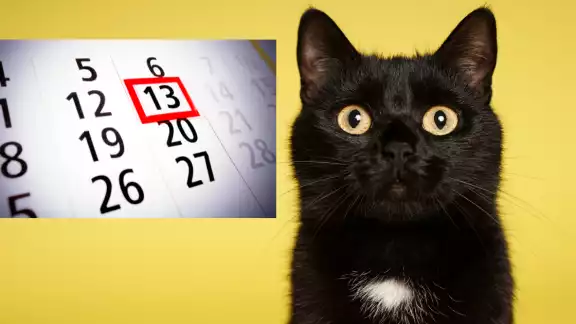 Te contamos el origen de este día Te contamos el origen de este día