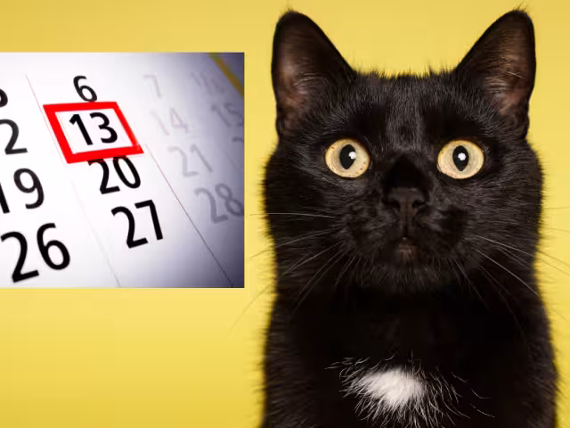 Te contamos el origen de este día