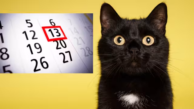 Te contamos el origen de este día