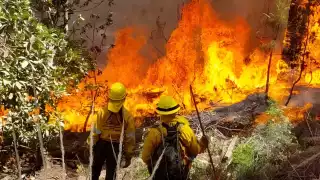 Campeche enfrenta dos incendios activos y más de 15 mil hectáreas afectadas