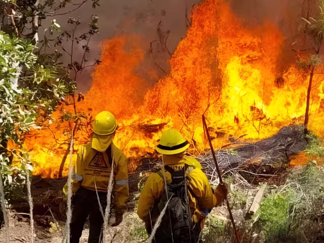 Alertan por incendios en humedales de Campeche y presencia de gente armada en zonas afectadas