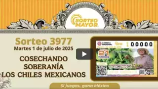 Lotería Nacional Sorteo Mayor 3977: Lista completa de  números premiados Julio 2025