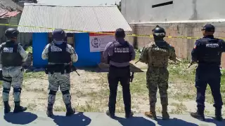 Aseguran drogas y un arma de fuego en Othón P. Blanco, Tulum y Cozumel