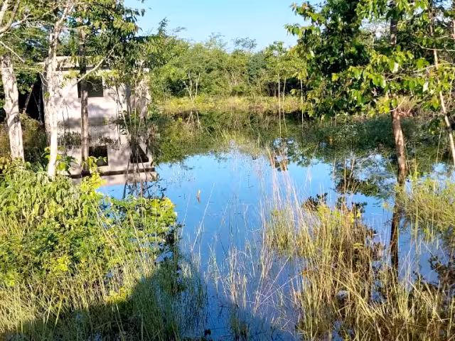 Caminos sacacocechas y áreas de producción han registrado inundaciones