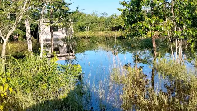 Caminos sacacocechas y áreas de producción han registrado inundaciones