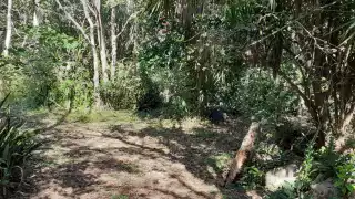 Encuentran embolsado en poblado de Santo Domingo de José María Morelos