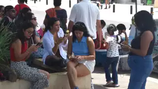 Crecen 30% las empresas tecnológicas en Yucatán: Canieti