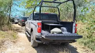 Ambientalistas de Ciudad del Carmen reportan muerte de una tortuga en el Malecón Costero 