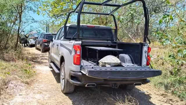 Tortuga blanca fallecida encontrada en aguas de Isla del Carmen