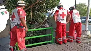 Mujer se  arroja al agua en el malecón de la Caleta tras pelear con su pareja en Ciudad del Carmen