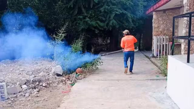 Los últimos efectos meteorológicos en el Estado han propiciado mayor humedad y brote de moscos.