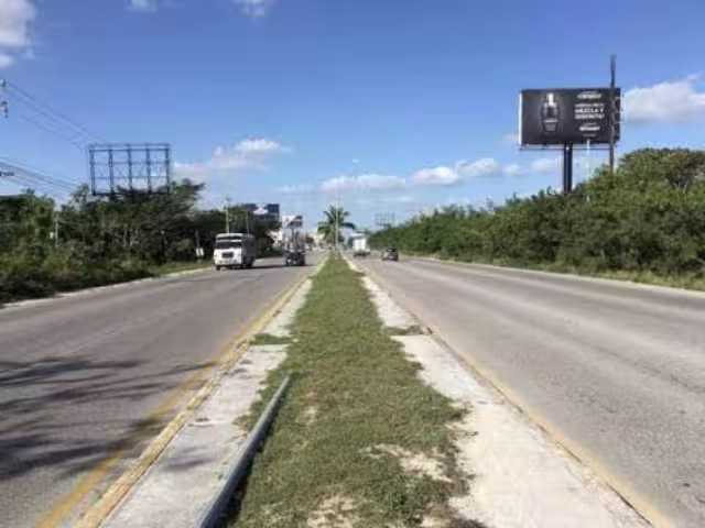 Quintana Roo formará parte del plan federal “Bachetón"