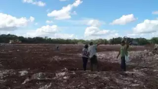 La antigua ciudad maya ubicada en el municipio de Kinchil resiste frente al avance de una granja industrial de Crío