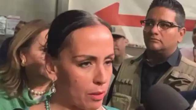 Mayela Laguna reaparece y acusa a Luis Enrique Guzmán de violencia mediática