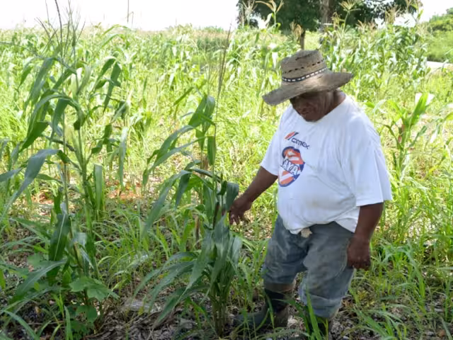 El desperfecto fue provocado por un bajón de energía eléctrica, justo cuando se preparaban para sembrar hortalizas, como pepino, maíz, limón y naranja