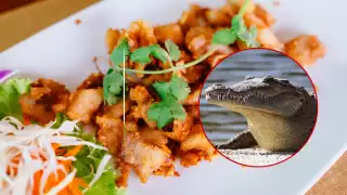 ¿Te atreverías a probar carne de cocodrilo? Aquí te decimos dónde puedes hacerlo en Campeche  