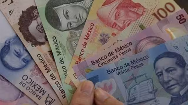 La Cámara de Diputados ya aprobó el aumento al salario mínimo para 2025