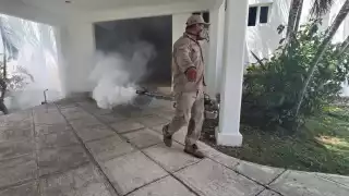 Las autoridades de Salud de la isla refuerzan las campañas de fumigación y limpieza para combatir el incremento del mosco transmisor Aedes aegypti