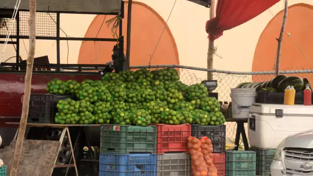 La cosecha se pierde en los camiones o en las casas de los comerciantes, debido al exceso y la falta de clientes. Muchos lo ofertan en los tianguis y avenidas