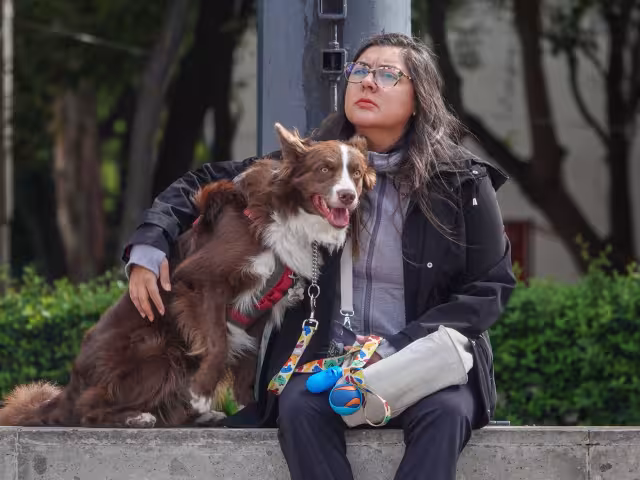 Mantente alerta, los montapeleas aprovechan la distracción y utilizan a tu perro para extorsionarte.