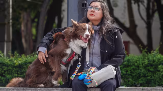 Mantente alerta, los montapeleas aprovechan la distracción y utilizan a tu perro para extorsionarte.