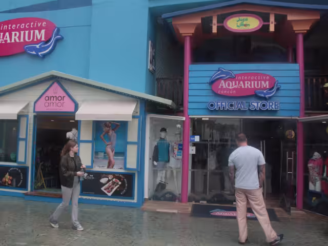 Dolphin Freedom Mx inicia mañana en Ciudad de México, para después continuar en Cancún y Puerto Aventuras.