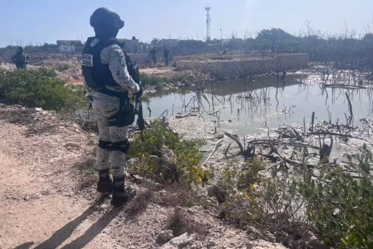 Frenan posible ecocidio en manglares de San Felipe; el alcalde Felipe ...