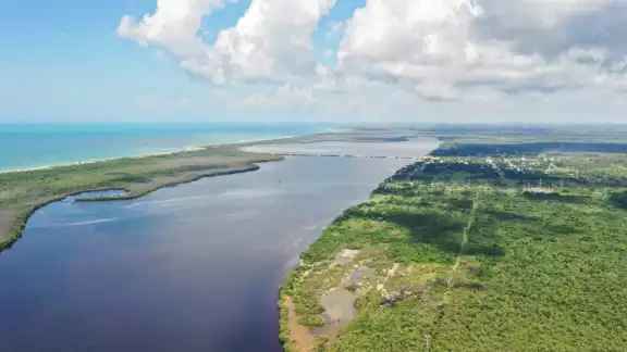 Se busca rescatar el ecosistema de los manglares en Sabancuy Se busca rescatar el ecosistema de los manglares en Sabancuy