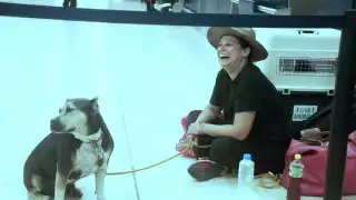 Turista italiana en Cancún pierde su vuelo a Miami al olvidar la documentación de su mascota  