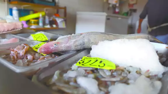 En cada zarpe, los pescadores desembolsan alrededor de 5 mil pesos por navío, por lo que se vieron obligados a incrementar sus tarifas, para que la captura les sea redituable En cada zarpe, los pescadores desembolsan alrededor de 5 mil pesos por navío, por lo que se vieron obligados a incrementar sus tarifas, para que la captura les sea redituable