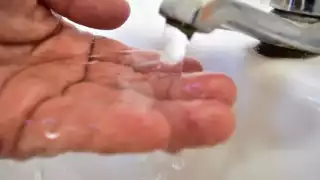  De 1992 a 2023 se han otorgado 488 mil permisos, lo que representa en promedio una autorización cada 32 minutos