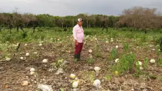 Álvaro Lario destacó que aunque México es una nación de renta media alta, mantiene una desigualdad rural alarmante