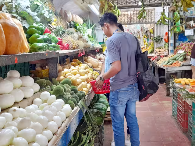 Verduras, carne, tortillas, aceite y huevo han tenido modificaciones importantes en los últimos meses, generando un golpe a la economía de los hogares