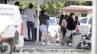   Sube 15% atención médica a personas por ataques caninos en Quintana Roo  