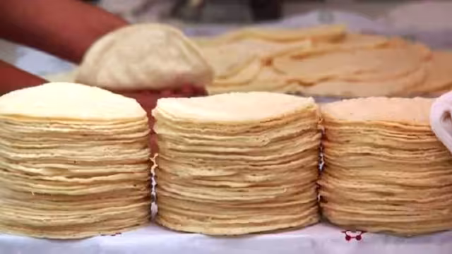 Precio de la tortilla y la masa sube dos pesos más en Playa del Carmen